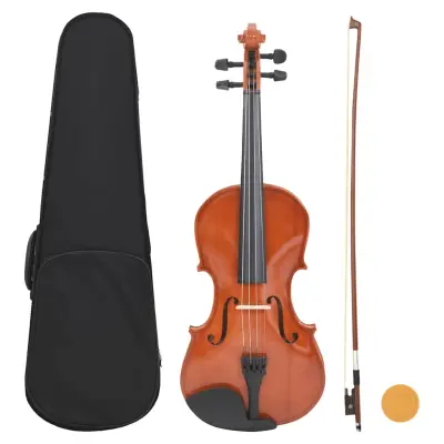 vidaXL Violina komplet z lokom in naslonom za brado naravna 4/4