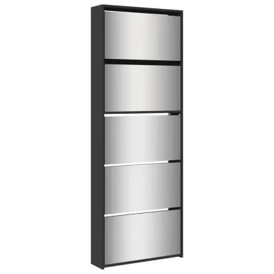 vidaXL Omarica za čevlje z ogledalom 5-nadstropna črna 63x17x169,5 cm