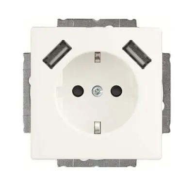 Busch-Jaeger SCHUKO-2x vtičnica USB 20 EUCB2USB-884