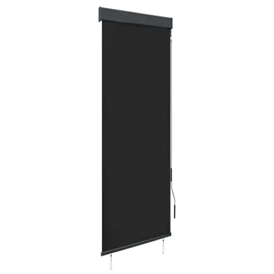 vidaXL Zunanje rolo senčilo 60x250 cm antracitno