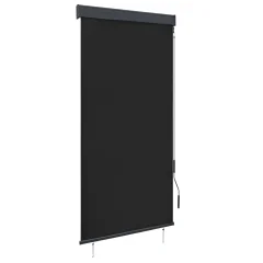 vidaXL Zunanje rolo senčilo 100x250 cm antracitno