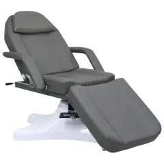 vidaXL Masažna miza siva 180x62x(86,5-118) cm