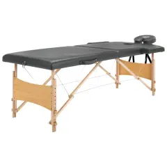 vidaXL Masažna miza z 2 conama lesen okvir antracit 186x68 cm
