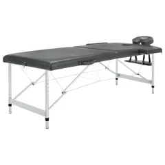 vidaXL Masažna miza z 2 conama aluminijast okvir antracitna 186x68 cm