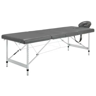 vidaXL Masažna miza s 4 conami aluminijast okvir antracit 186x68 cm