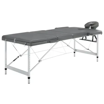 vidaXL Masažna miza s 3 conami aluminijast okvir antracit 186x68 cm