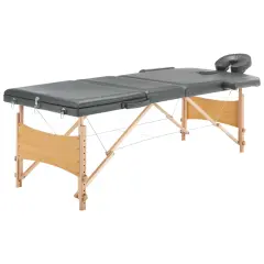vidaXL Masažna miza s 3 conami lesen okvir antracit 186x68 cm