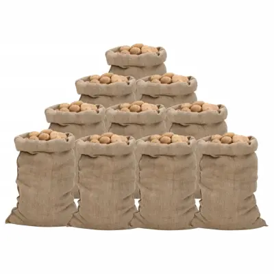 vidaXL Vreče iz jute 10 kosov 60x105 cm 100 % juta 340 gsm
