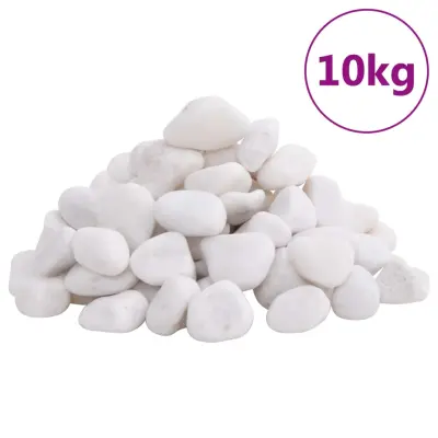 vidaXL Polirani kamenčki 10 kg beli 2-5 cm
