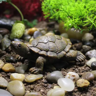 Enhance your outdoor space with charming mini turtle ornaments: Resin tabletop eco-wonder paired with delightful succulent accents and mini landscapin