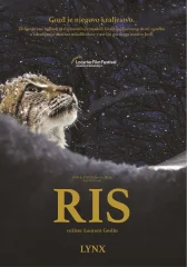 RIS - DVD SL.POD.