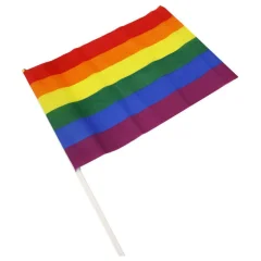 Srednja banderin barve LGBT FLAG+