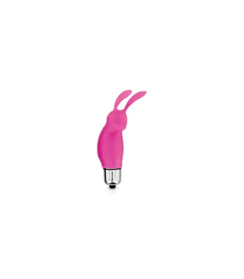 Fuchsia Mini Bullet Bullet