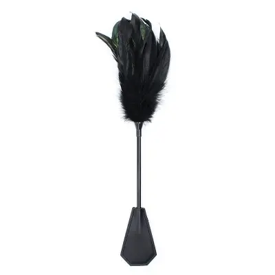 Plume in lopata 2 v črni 1 48 cm