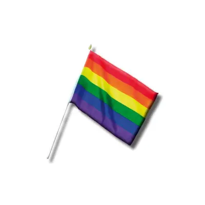 Majhna zastava z LGBT zastavo+ 30 cm