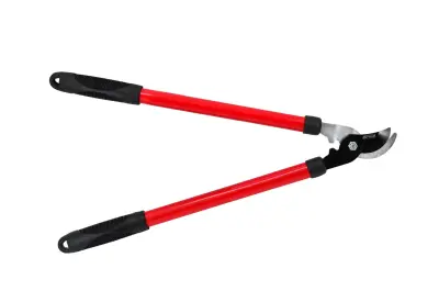 Awtools Sekator do vej 540 mm 20 mm