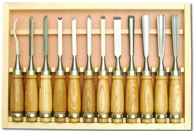 Tokar-stolarskie dlete 12 psov.