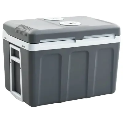 vidaXL Prenosna termoelektrična hladilna torba 40 L 12 V 230 V E