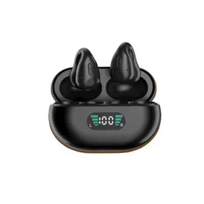 Brezžične slušalke Pinny T14 48H Type-C Bluetooth5.3 IPX4