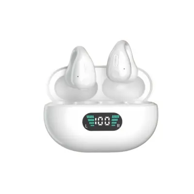 Brezžične slušalke Pinny T14-1 48H Type-C Bluetooth5.3 IPX4