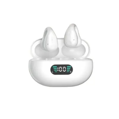 Brezžične slušalke Pinny T14 48H Type-C Bluetooth5.3 IPX4