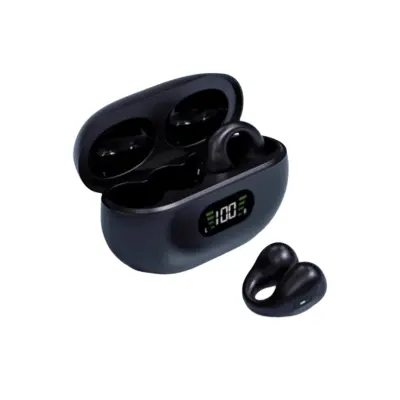 Brezžične slušalke Pinny T14 80H Type-C Bluetooth5.3 IPX4
