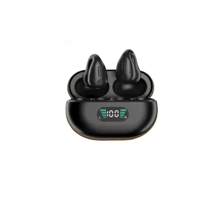 Brezžične slušalke Pinny T14-1 48H Type-C Bluetooth5.3 IPX4