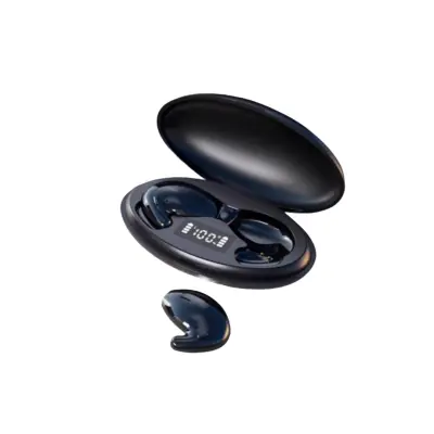 Brezžične slušalke Pinny D90 10MM Type-C Bluetooth5.3 IPX5