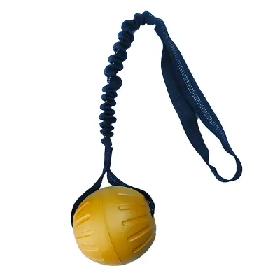 Medzvezdna žoga igrača za pse EVA žoga za vzgon Igrača za šolanje psov Žoga za pse igrače za hišne ljubljenčke Žoga za pse