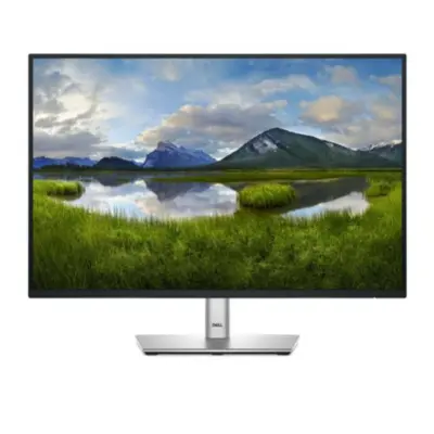 Monitor Dell 61 cm (24,0") P2425E 1920x1200 100Hz IPS 5ms HDMI DisplayPort USB-C 90W DP-Out 4xUSB3.2 Pivot  3H sRGB99% RJ45