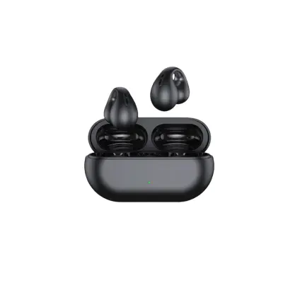 Brezžične slušalke Pinny T15 65H Type-C Bluetooth5.3 IPX4
