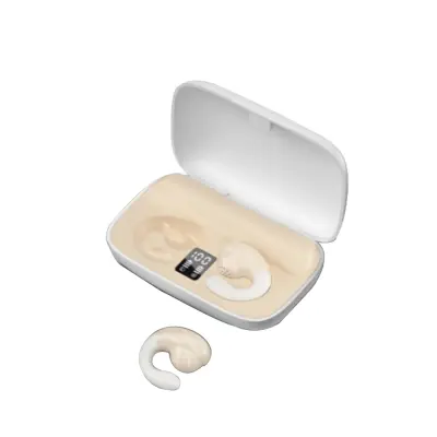 Brezžične slušalke Pinny T24 48H type-C Bluetooth5.3 IPX4