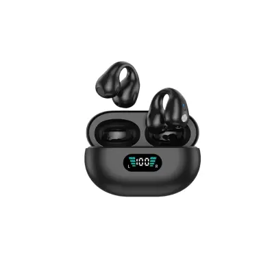 Brezžične slušalke Pinny T14-1 85H Type-C Bluetooth5.3 IPX4