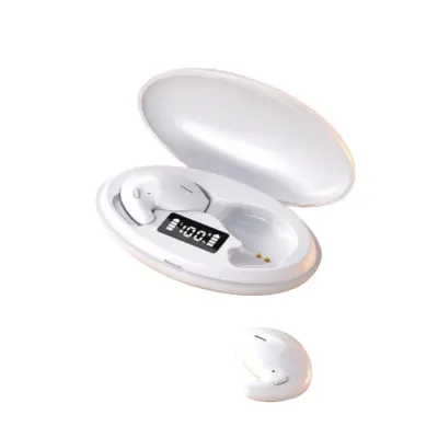 Brezžične slušalke Pinny D90 10MM Type-C Bluetooth5.3 IPX5