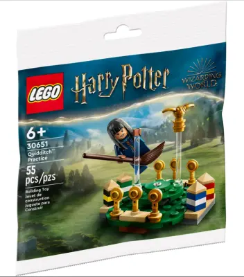 LEGO Harry Potter 30651 Trening quidditcha