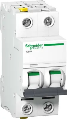 Schneider Electric LS stikalo 2P 6A B IC60H A9F06206