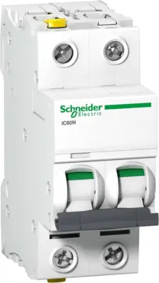 Schneider Electric LS stikalo 2P 6A D IC60N A9F05206