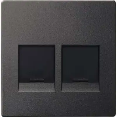 Merten Sredinska plošča 2f.anth za modularno vtičnico MEG4562-0414