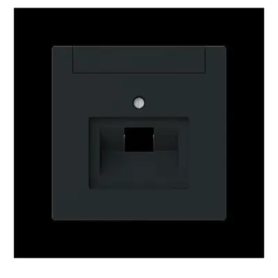 Busch-Jaeger Osrednja plošča 1-gang, UAE w. Polje za označevanje 1803-45M