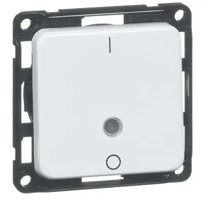 Peha Stikalo za izklop rws Krmilna linija 10A 250V 2-polni D 712.02 GLK