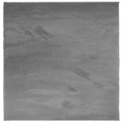 vidaXL Preproga OVIEDO s kratkimi vlakni antracitna 200x200 cm
