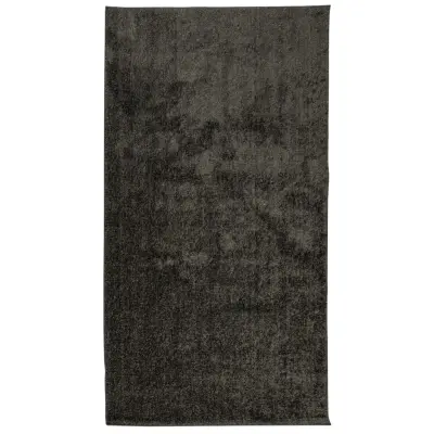 vidaXL Preproga ISTAN visoka vlakna sijoč videz antracit 80x150 cm
