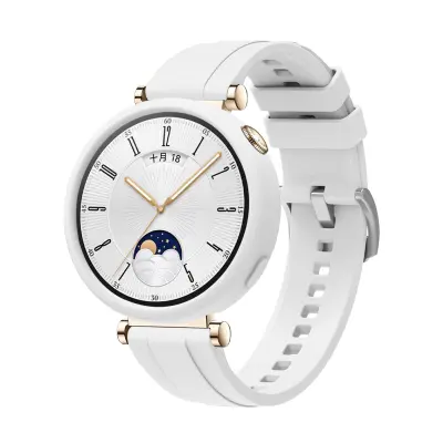 Pas za uro z etuijem za Huawei Watch GT4 41 mm