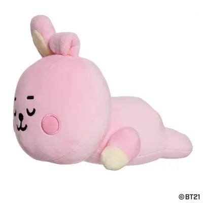 MINI COJIN BT21 COOKY