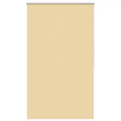 Roleta / Senčilo 80 x 175 cm Bež Barve