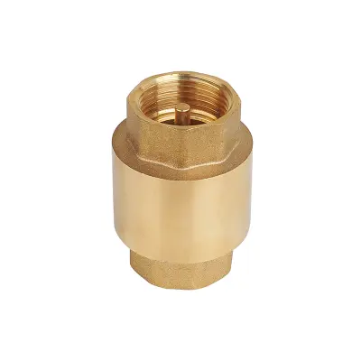 Medeninasti nepovratni ventil Vertikalni nepovratni ventili   1/2" （102g）DN15