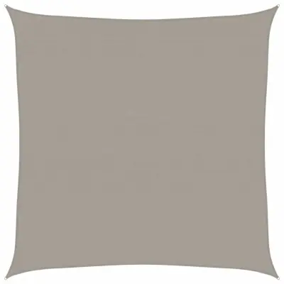 vidaXL Senčno jadro 160 g/m² kvadratno svetlo sivo 5x5 m HDPE