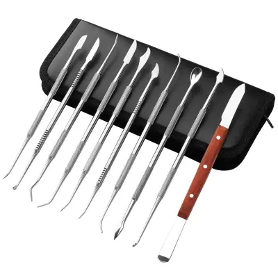 Dental Carvers Tools 10-delni Silver