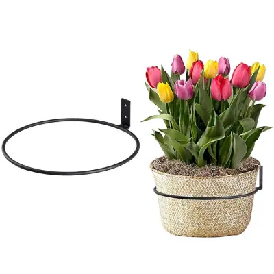 Stensko držalo za cvetlične lončke  S