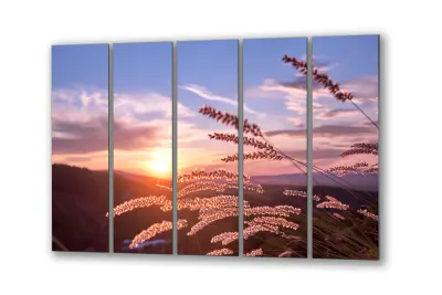 Slika na steklu sončni zahod narava žitne klase okrasna slika 200x110 cm